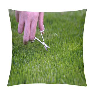 Personality  Symbol For A Perfectionist Who Cuts The Lawn With Small Scissors. Pillow Covers