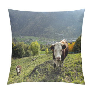 Personality  Amazing Alpine Landscape With Cute Grazing Cows Pillow Covers