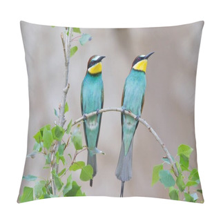 Personality  Two Bee-eaters Birds On Tree Twig Pillow Covers