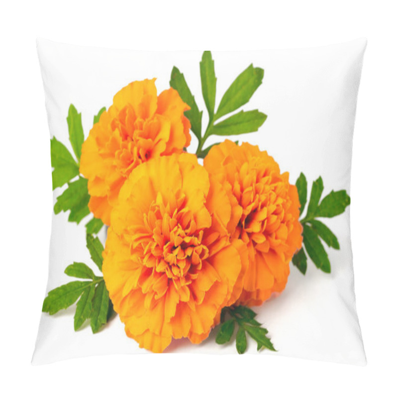 Personality  fresh marigold flowers isolated on the white background pillow covers