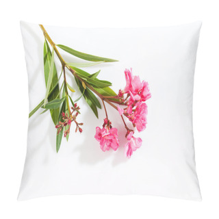 Personality  Oleander, Pink Blossoms, White Background Pillow Covers