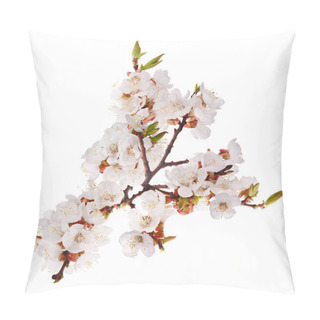 Personality  Isolated Lush Sakura Branch Pillow Covers