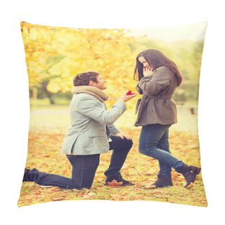 Personality  Man Proposing To A Woman In The Autumn Park Pillow Covers