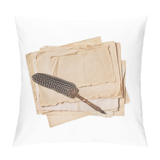 Personality  Vintage Composition With Mock Up Of Old�paper Sheets And Quill Pen Pillow Covers