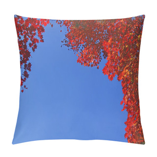 Personality  Autumn Leaves. Pillow Covers