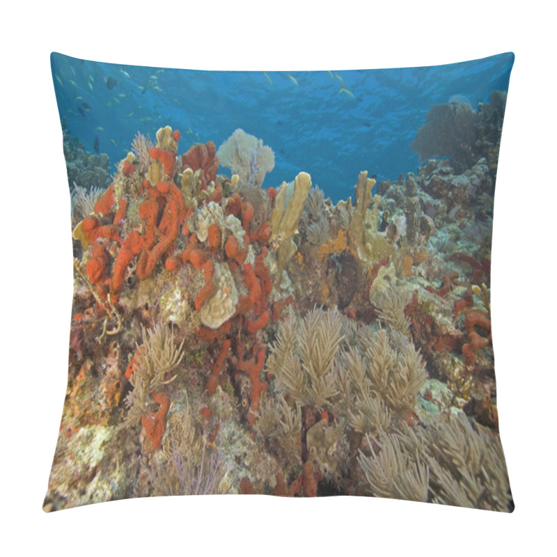 Personality  Underwater Key Largo Coral Reef Pillow Covers