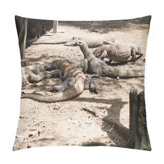 Personality  Komodo Dragons In Village In Rinca Island, Komodo National Park, Indonesia Pillow Covers