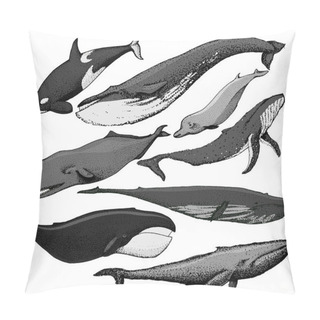 Personality  Set Of Hand Drawn Whales Pillow Covers