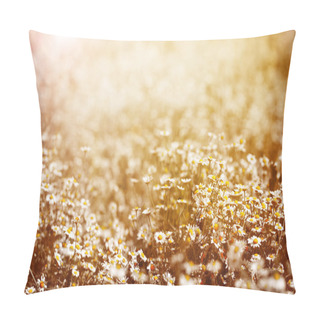 Personality Chamomile Meadow Pillow Covers
