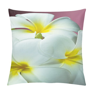 Personality  Frangipani Flower Bouquet Pillow Covers