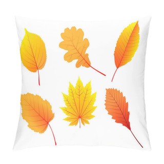 Personality  Set Of Autumn Leaves From Different Kind Of Trees Or Fall Foliage Pillow Covers