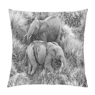 Personality  Two Wild Elephants Pillow Covers