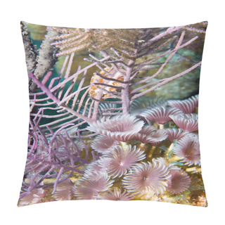 Personality  Soft Corals And Worms Pillow Covers