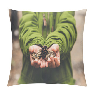 Personality  Pine Cones Pillow Covers