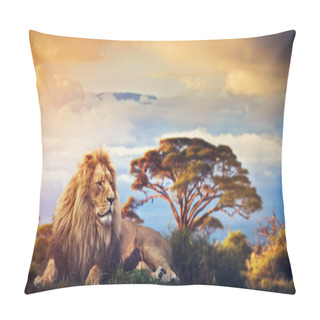 Personality  Lion Lying In Grass On Savanna At Sunset  Pillow Covers