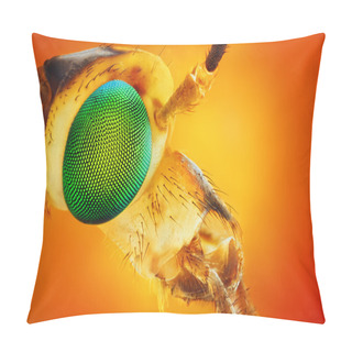 Personality  Extreme Sharp And Detailed Closeup Of Tipula Crane Head (Tipula Oleracea) Pillow Covers