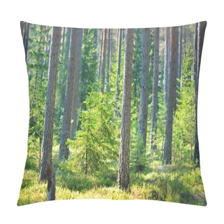 Personality  Pine Forest In Finland Pillow Covers
