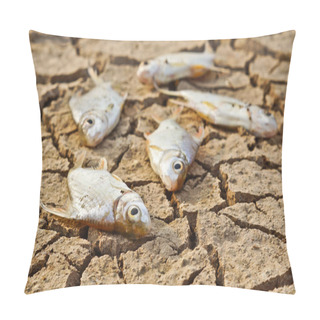 Personality  Fish Died On Cracked Earth Pillow Covers