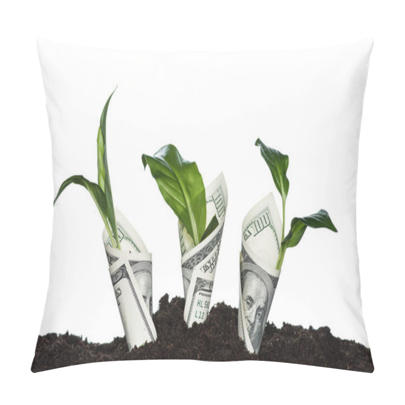 Personality  Plants Covered With Dollar Banknotes Pillow Covers