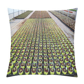 Personality  Plants In Greenhouse Pillow Covers