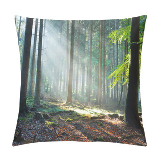 Personality  Sun Rays In A Fog In A Misty Forest Pillow Covers