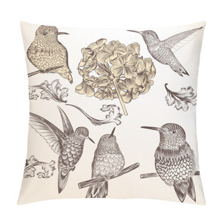 Personality  Collection Of Vector Hand Drawn Humming Birds For Design Pillow Covers