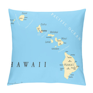 Personality  Hawaii Islands Political Map Pillow Covers