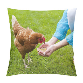 Personality  Feeding Free Range Chicken Pillow Covers