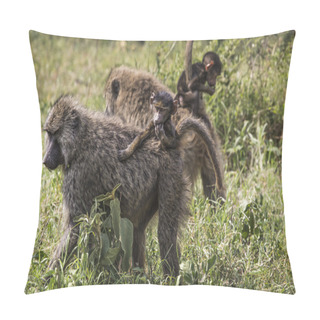 Personality  Baboon Mother Walking Through The Savannah With Its Baby On The  Pillow Covers