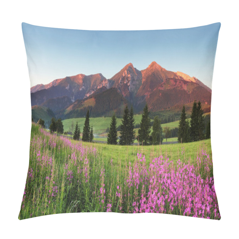 Personality  Beauty mountain panorama with flowers - Slovakia pillow covers