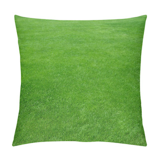 Personality  Green Grass Background Pillow Covers