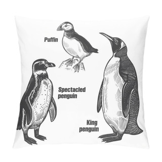 Personality  Birds Set. Waterfowl Birds. African Spectacled Penguin, Arctic King Penguin And Puffin. Black Sketch Of Animal On A White Background. Vintage Engraving. Vector Illustration. Isolated Images. Wildlife Pillow Covers