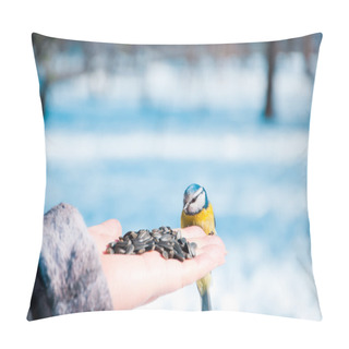 Personality  Tomtit On A Hand Pillow Covers