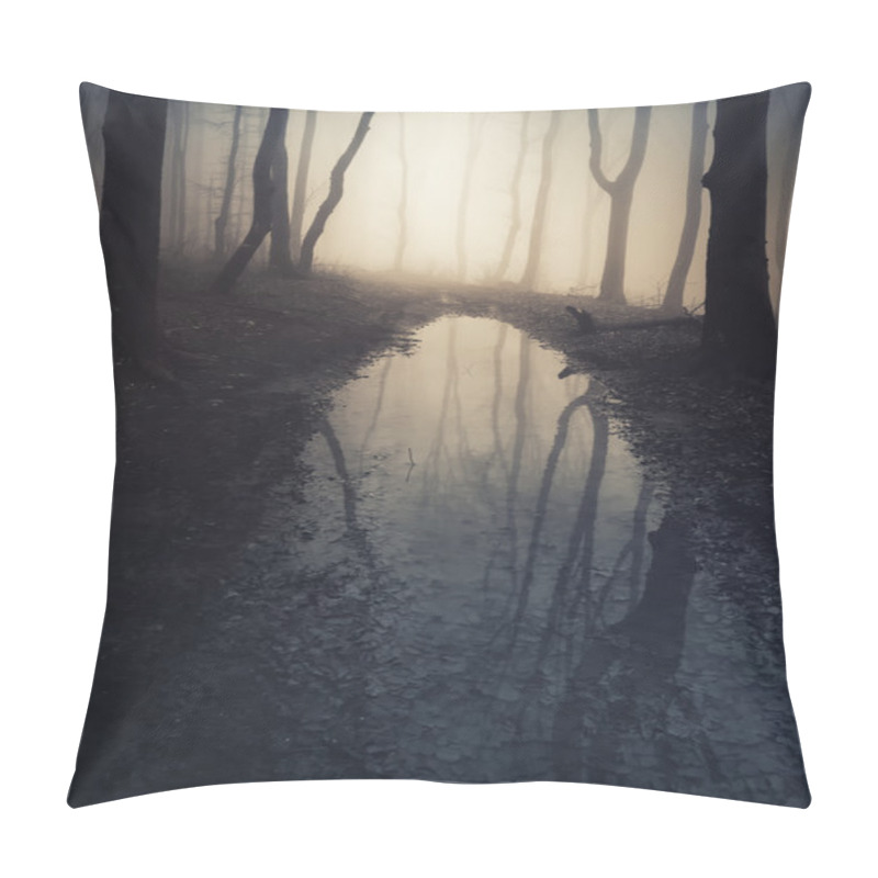 Personality  Dark Lake In Spooky Forest Pillow Covers