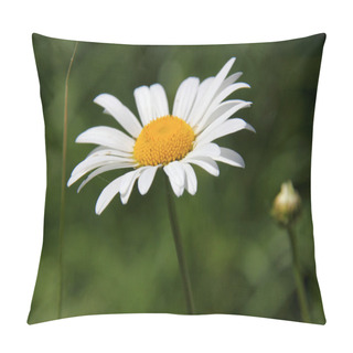 Personality  Camomile. Pillow Covers