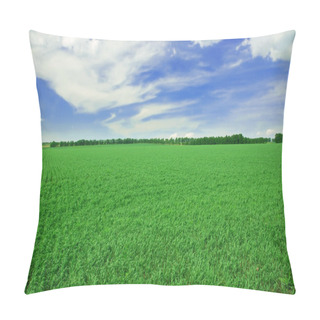 Personality  Grassy Field Pillow Covers