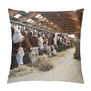 Personality  Dairy Cows In Stables, Who Eat Hay. Pillow Covers