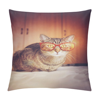 Personality  Young Hipster Cat Pillow Covers