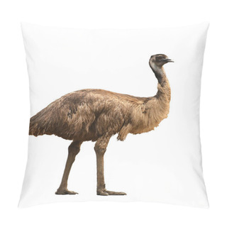 Personality  Emu Isolated On White Background Pillow Covers