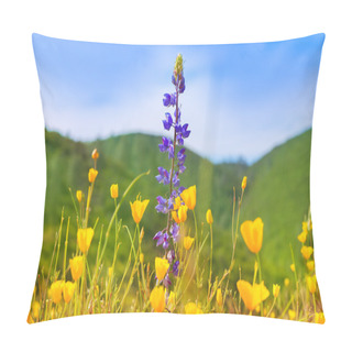 Personality  Poppy Flowers Yellow Poppies In Western California Pillow Covers