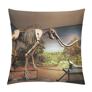 Personality  Shijiazhuang City - July 26, 2017: Nama Elephant Skeleton In The Exhibition Hall, Shijiazhuang City, Hebei Province, Chin Pillow Covers