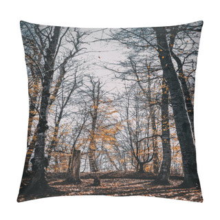 Personality  A Vertical Shot Of A Forest Covered In Dried Leaves And Bare Trees In Autumn In Dilijan, Armenia Pillow Covers