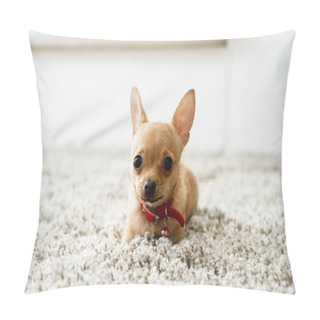 Personality  Chihuahua In The Living Room Pillow Covers