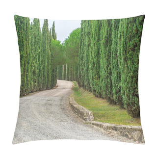 Personality  Road With Trees In Toscana Pillow Covers