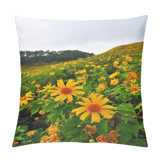 Personality  Sunflowers Field During Sunset Pillow Covers