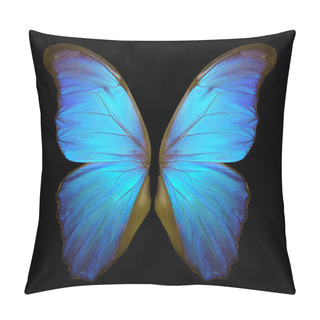 Personality  Wings Of A Butterfly Morpho. Morpho Butterfly Wings Isolated On A Black Background. Pillow Covers