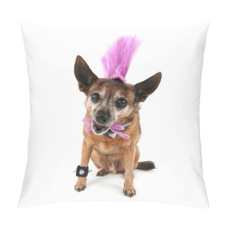 Personality  Chihuahua With Mohawk Punker Hairdo Pillow Covers