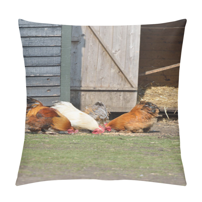 Personality  Chickens in Barnyard pillow covers