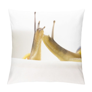 Personality  Snails. Slow Love Pillow Covers
