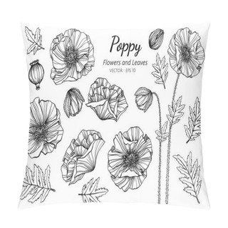 Personality  Collection Set Of Poppy Flower And Leaves Drawing Illustration. Pillow Covers